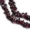 Natural Garnet Beads Strands F065-01A-4