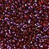 Spray Painted Glass Seed Beads SEED-F005-06A-03-3
