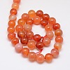 Natural Carnelian Beads Strands G-N0006-10mm-17-3