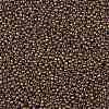TOHO Round Seed Beads SEED-JPTR11-1704-2