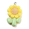 Opaque Resin Pendants RESI-G078-01B-1