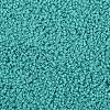 TOHO 11/0 Round Beads SEED-JPTR11-0055-2