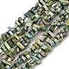 Natural Freshwater Shell Beads Strands BSHE-H018-07C-1