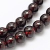 Garnet Round Beads Strands G-O081-03-5mm-1