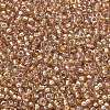 MIYUKI Round Rocailles Beads X-SEED-G007-RR3521-2