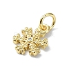Brass Micro Pave Clear Cubic Zirconia Charms KK-H475-55G-01-2