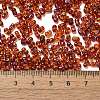 Spray Painted Glass Seed Beads SEED-F005-05A-05-4