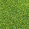 MIYUKI Round Rocailles Beads X-SEED-G007-RR3739-2