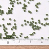 MIYUKI Delica Beads SEED-X0054-DB1585-4