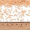Baking Paint Glass Seed Beads X-SEED-S042-05B-80-4