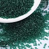 MIYUKI Round Rocailles Beads SEED-G007-RR0147-1