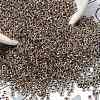 TOHO 6/0 Demi Round Beads X-SEED-DR06-0994-3