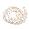 Tibetan Style Turtle Back Pattern dZi Beads Strands G-G036-10mm-6-2