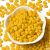 Opaque Colours Glass Seed Beads SEED-E001-P3x6mm-07-2