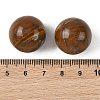 Natural Tiger Iron Sphere Beads GG-D003-A03-3
