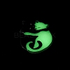 Luminous Opaque Acrylic Pendants SACR-P025-A03-2