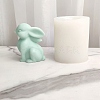 3D Rabbit Figurine DIY Candle Silicone Molds SIMO-C009-03-1