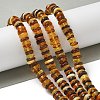 Natural Amber Beads Strands G-K387-C01-01-1