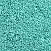 TOHO Round Seed Beads X-SEED-TR11-0920-2