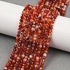 Natural Banded Agate Beads Strands G-P553-G09-03-1