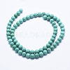Natural Magnesite Beads Strands G-K244-02-8mm-02-2