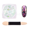 Nail Art Glitter Powder MRMJ-Q046-010J-1