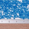 MIYUKI Delica Beads SEED-X0054-DB0787-3