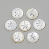 Freshwater Shell Pendants X-SHEL-Q010-001P-1