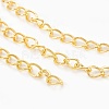 Iron Twisted Chains CH-0.7DK-G-1