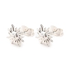 Brass Stud Earrings for Women KK-M239-01P-2