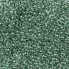 TOHO 8/0 Round Beads X-SEED-TR08-1070-4