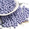 Baking Painted Glass Seed Beads SEED-C004-04I-1