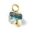 Electroplate Glass Charms PALLOY-JF00821-06-4