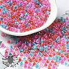 Transparent Glass Round Seed Beads SEED-B001-05A-14-1