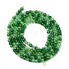 Transparent Glass Beads Strands X-GLAA-H027-01G-3