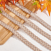 Polyester Braided Lace Trim OCOR-WH0078-09B-5