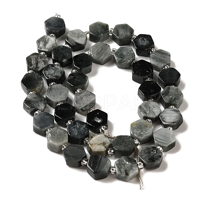 Natural Eagle Eye Stone Beads Strands G-P534-A14-02-1