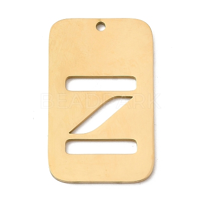 304 Stainless Steel Pendants STAS-D200-01Z-G-1