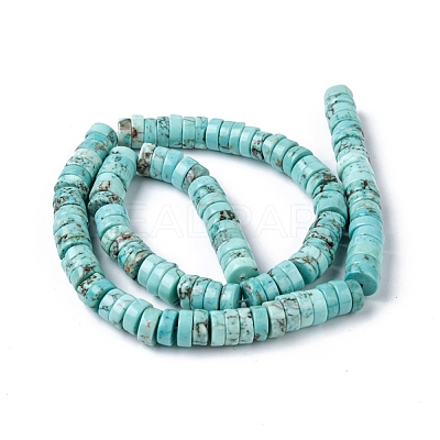 Natural Howlite Beads Strands X-TURQ-L030-04C-01-1