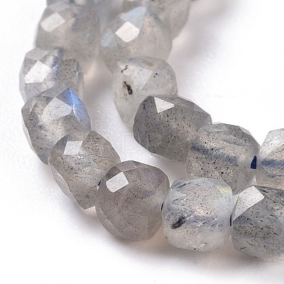 Natural Labradorite Beads Strands G-D0003-B10-1