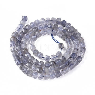 Natural Iolite/Cordierite/Dichroite Beads Strands G-L537-027-1