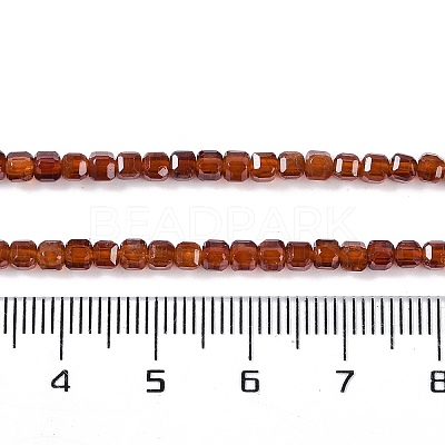 Natural Garnet Beads Strands X-G-P457-B01-18A-1