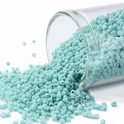 TOHO Round Seed Beads X-SEED-TR15-0055F-1