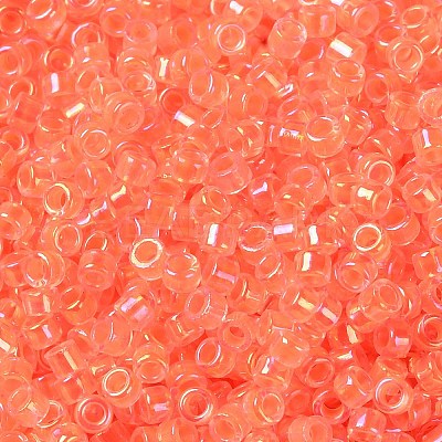 Glass Seed Beads SEED-S042-13A-06-1