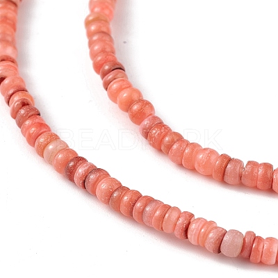 Natural Freshwater Shell Beads Strands SHEL-M018-06-1