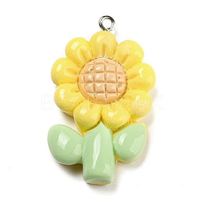 Opaque Resin Pendants RESI-G078-01B-1