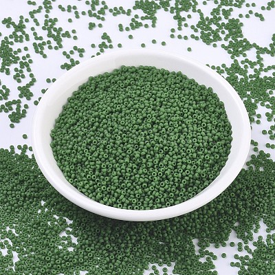 MIYUKI Round Rocailles Beads SEED-G007-RR0411F-1