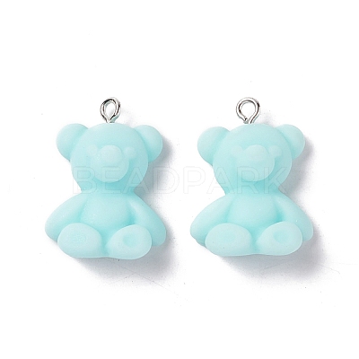 Opaque Resin Pendants RESI-G046-04P-1