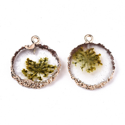 Transparent Clear Epoxy Resin & Dried Flower Pendants RESI-S383-075-C02-1