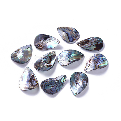 Natural Abalone Shell/Paua Shell Pendants SSHEL-F303-07-1